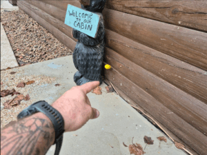 Rot and soft spot in log home exterior wood found during inspection